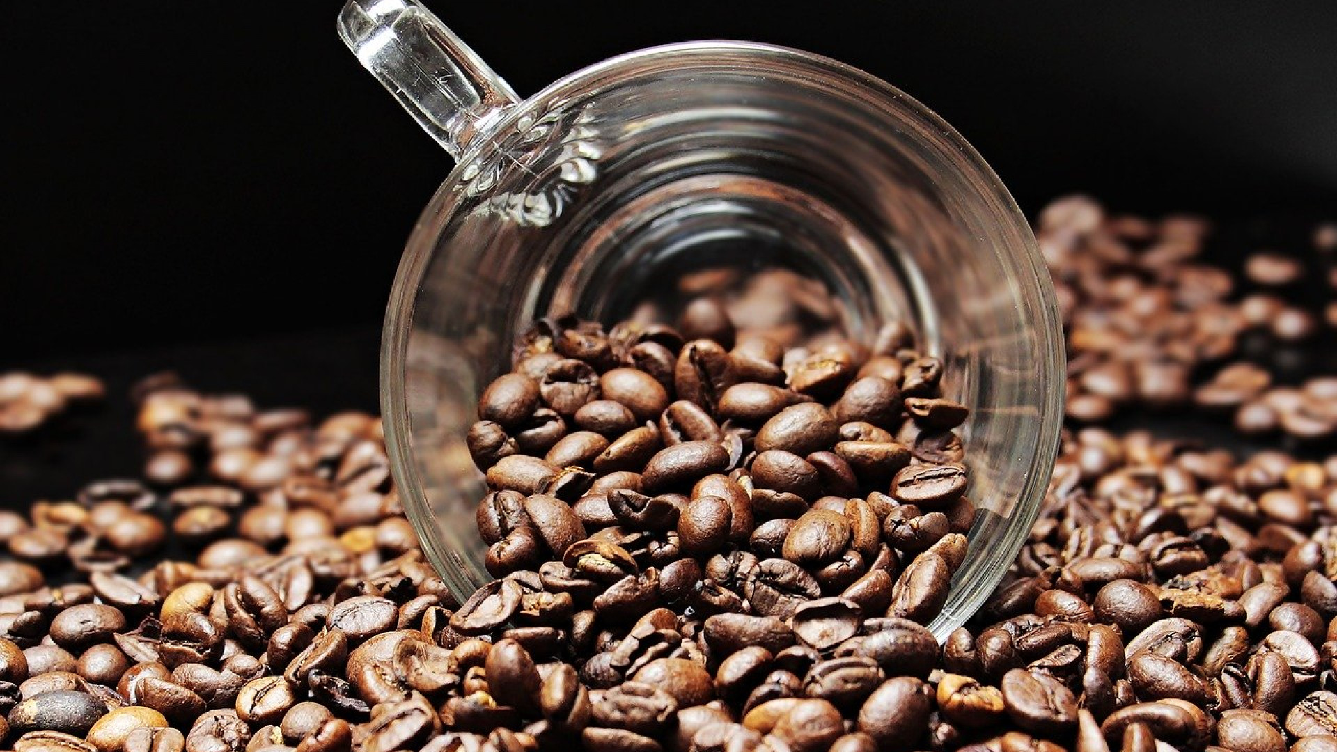 Machine à café professionnelle : craquez pour une torréfaction artisanale !